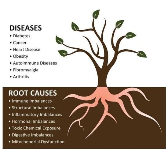 A Functional Medicine Approach to Cancer